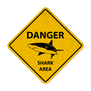 Danger Shark Area