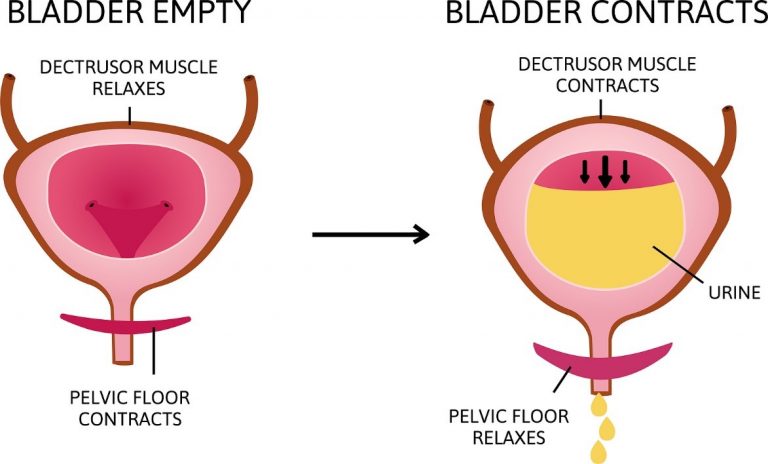 Bladder Health And Incontinence Beaumont Emergency Hospital