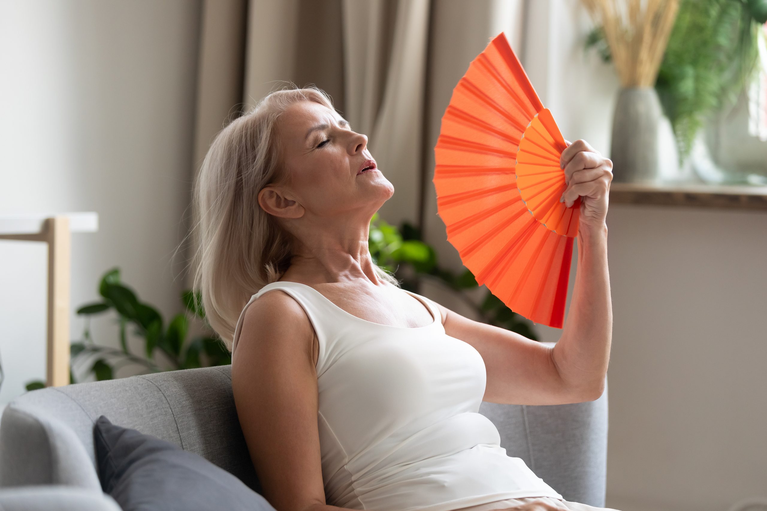 Menopause is More than Hot Flashes