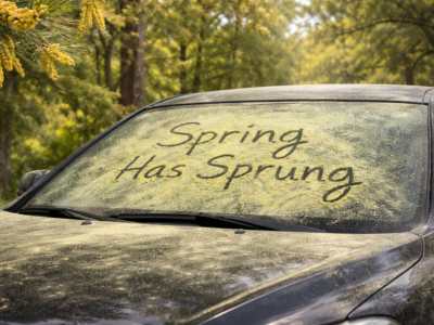 yellow pollen covering car windshield in southeast texas during spring pollen season